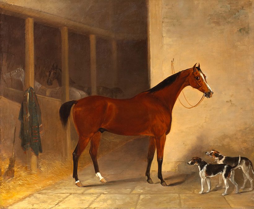 Roller, a Bay Hunter with Hounds Jolty Boy and Jackey Boy in a Stable