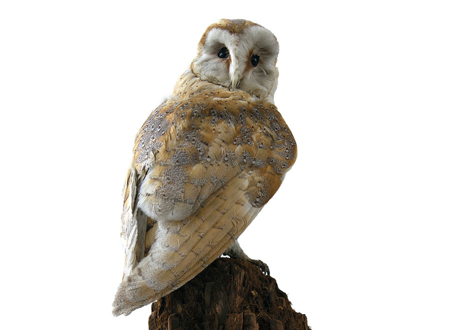 Banbridge: Working together