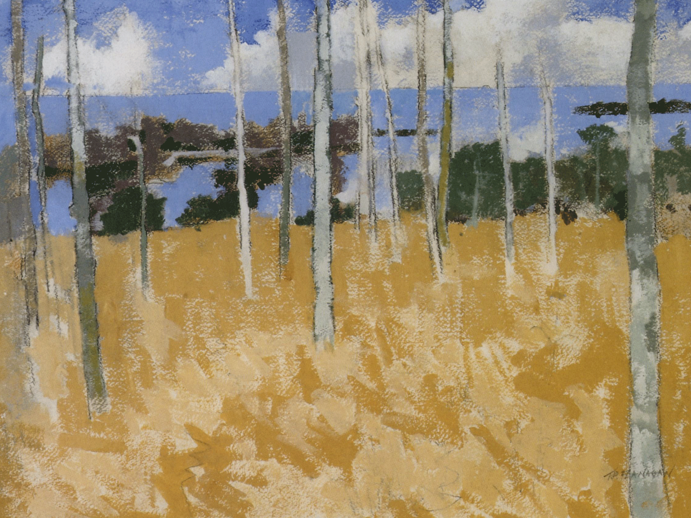 T P Flanagan Landscape and lineage
