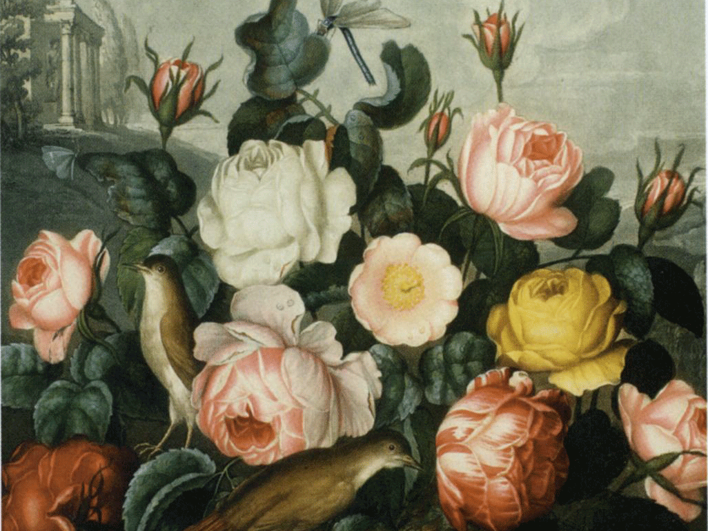 Gumbleton’s botanical treasury