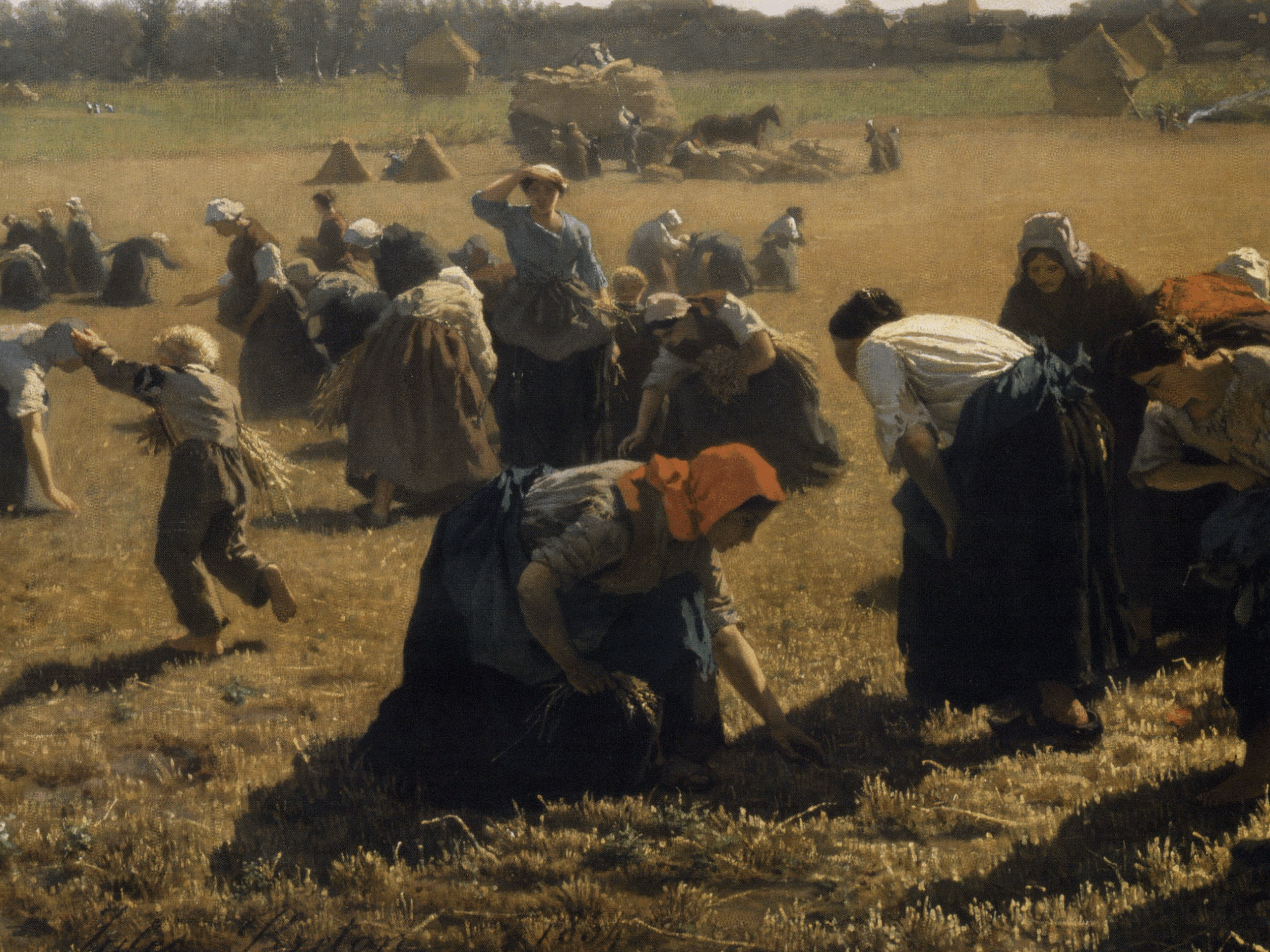Autumn harvest