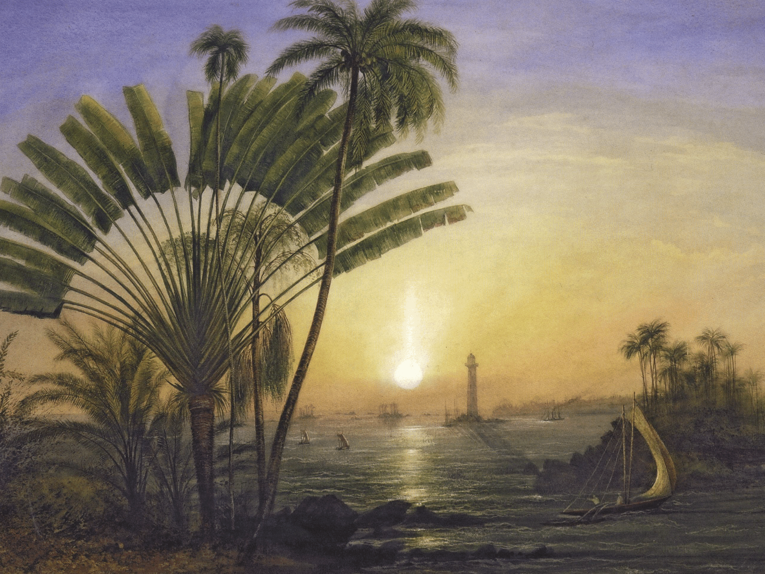 Sketches of Ceylon
