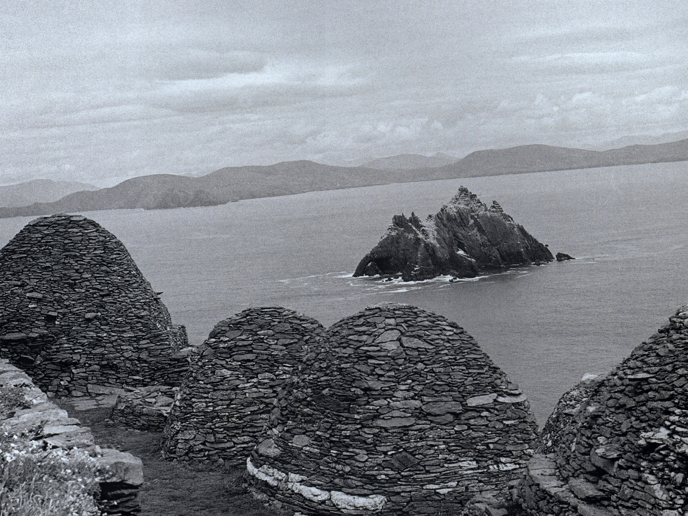 Skellig and Imogen’s Wings
