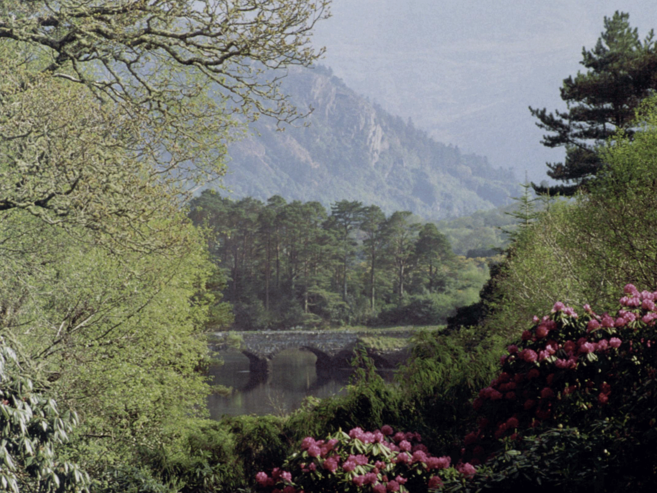 The Arts in Kerry: A Sense of Place…