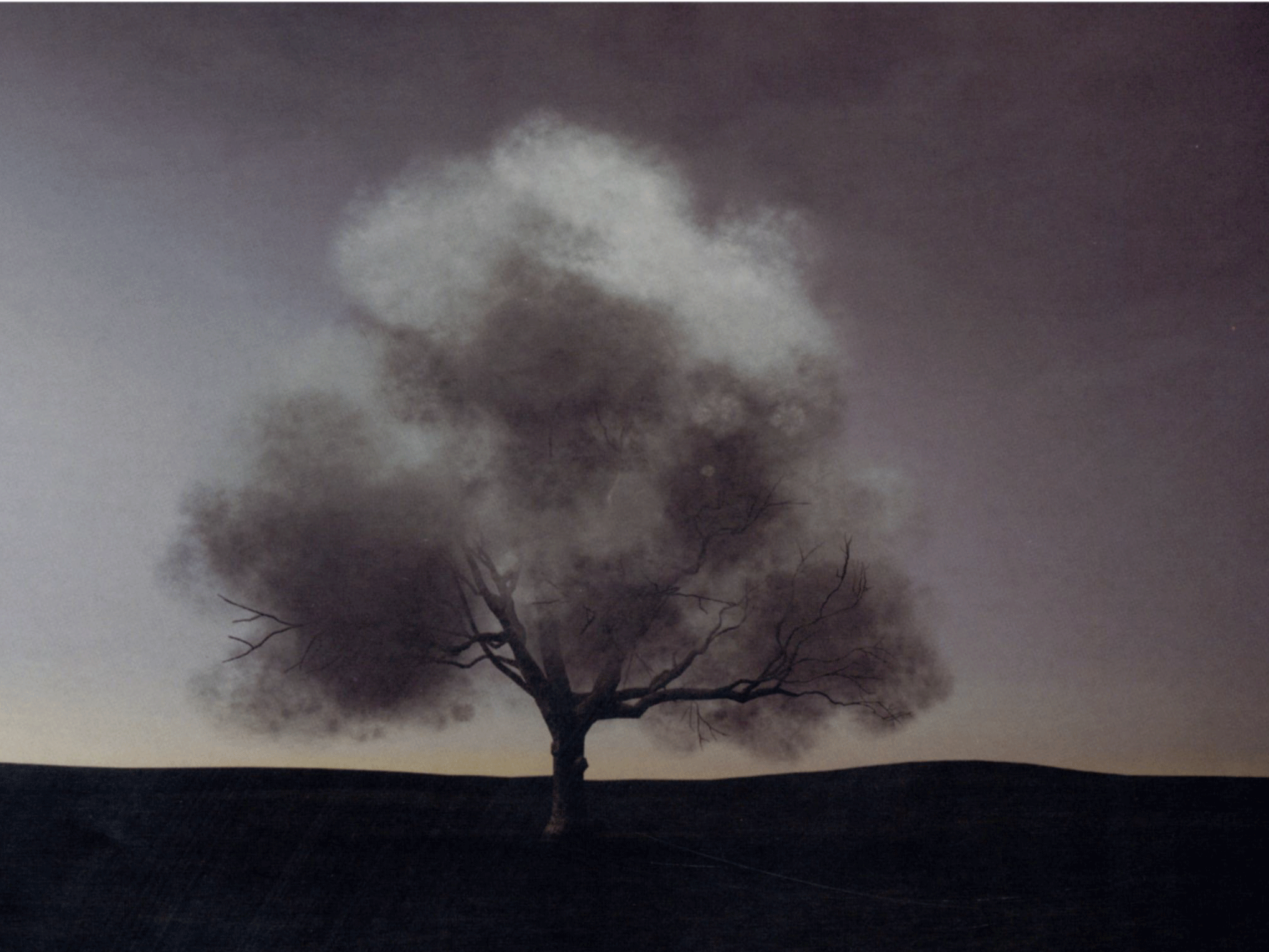 Through Time and Space: John Gerrard’s Image Objects