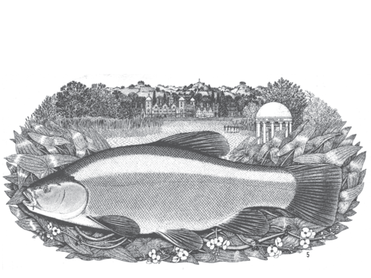Master of Miniatures