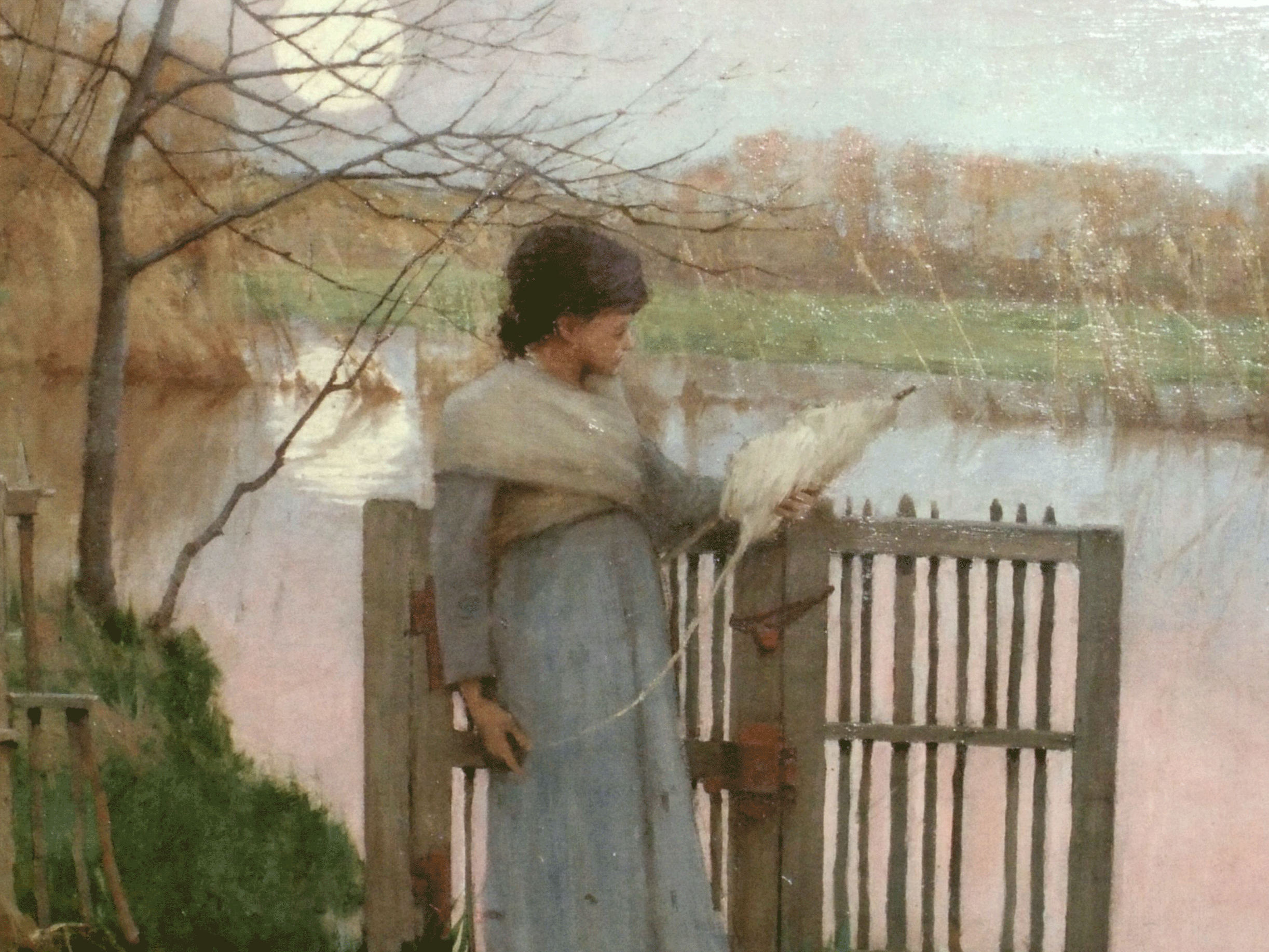 Frank O’Meara’s Muse
