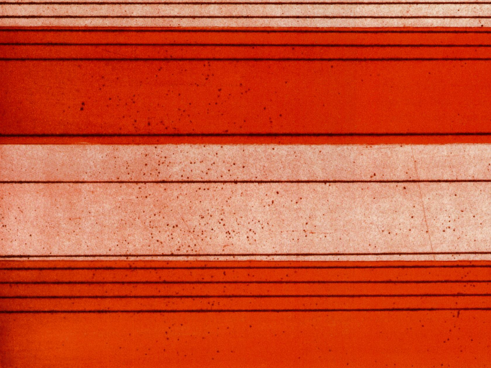 Cork printmakers at Twenty