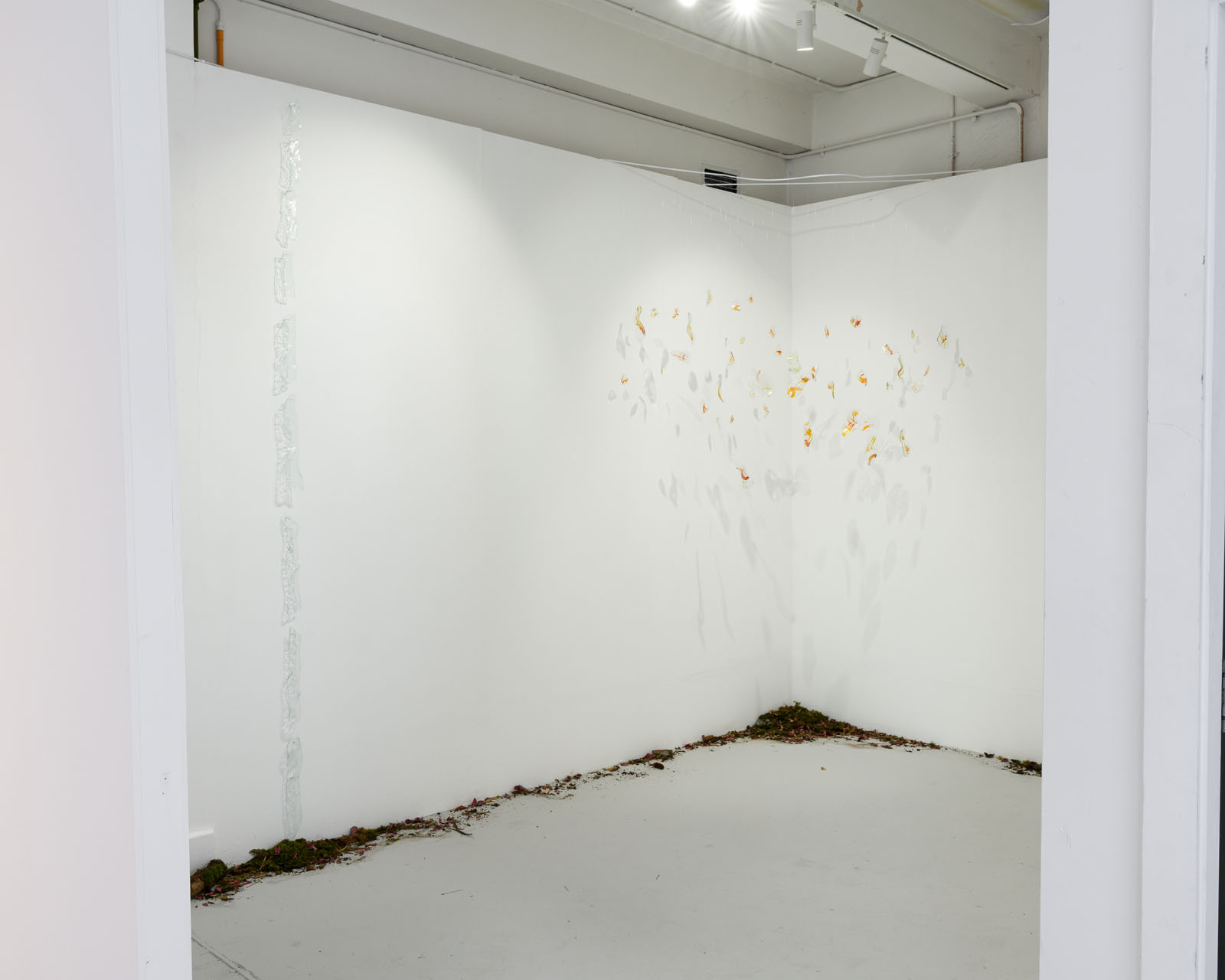 Rebecca Bradley-Young