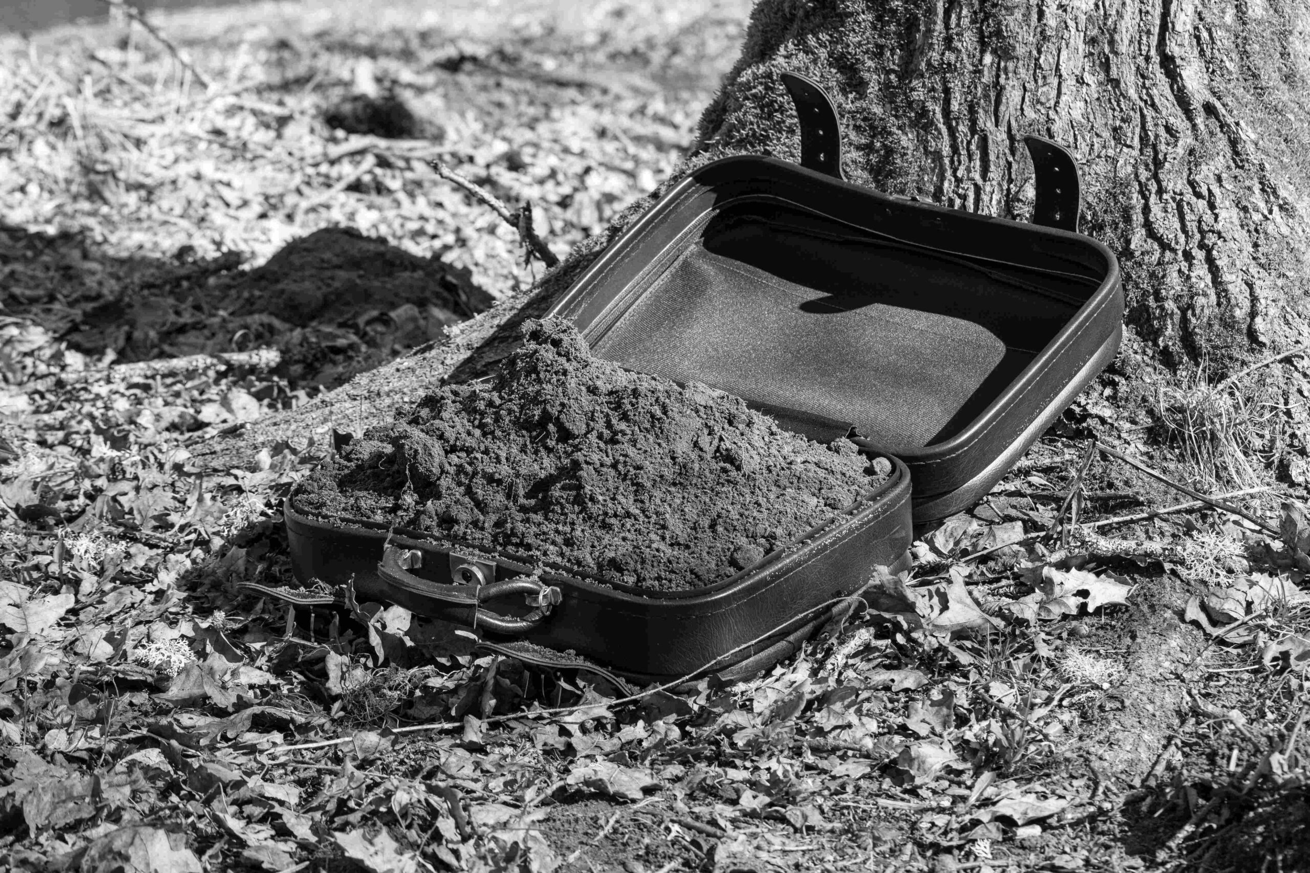 Svetlana Pavlenko Heneghan