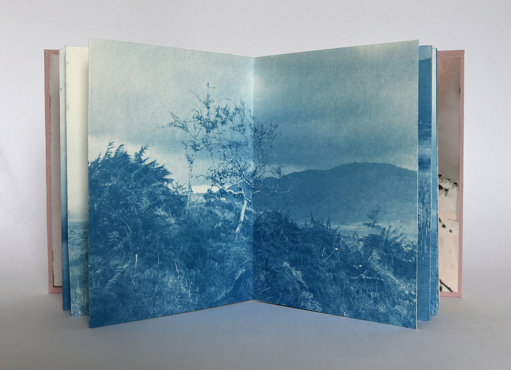 Cork: Artist Books