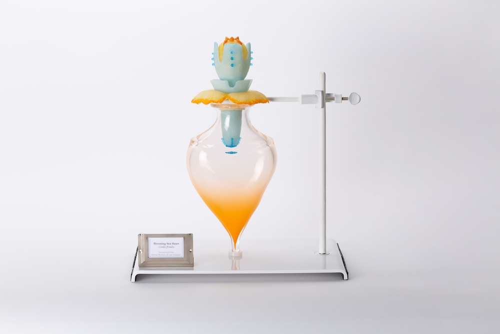 Belfast: Annual Exhibition