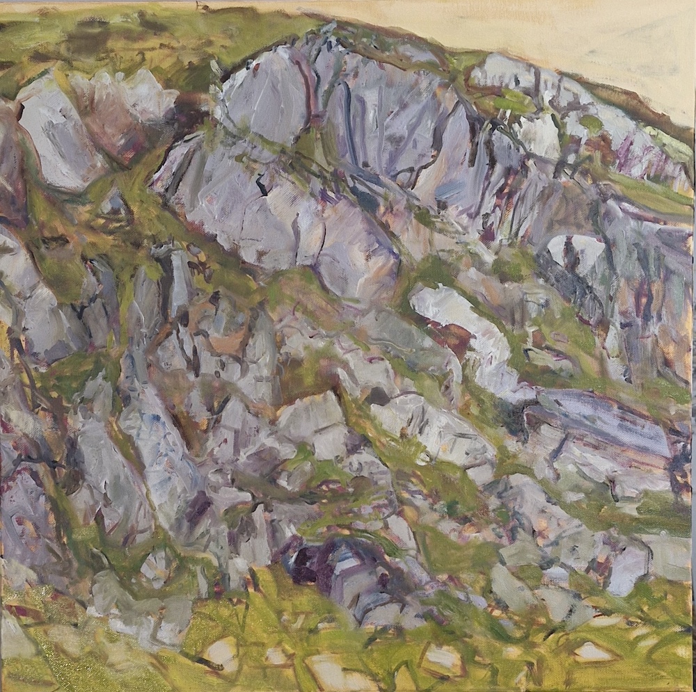 Cork: Christmas Show