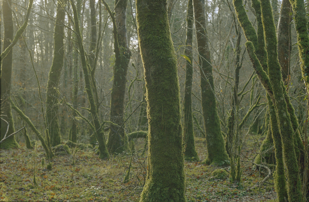 Dublin: In the Frame
