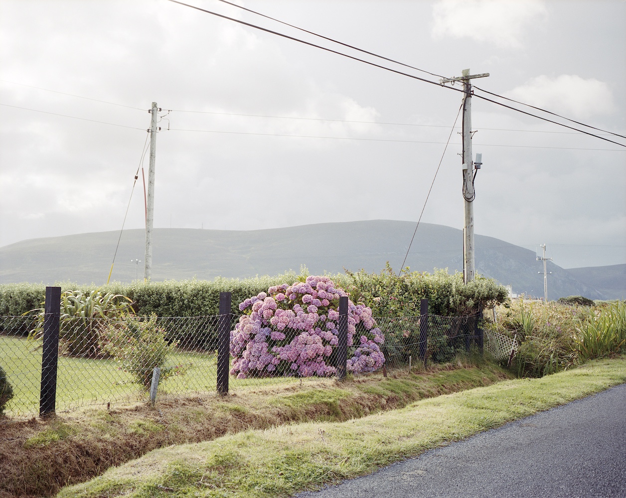 USA: Contemporary Photography