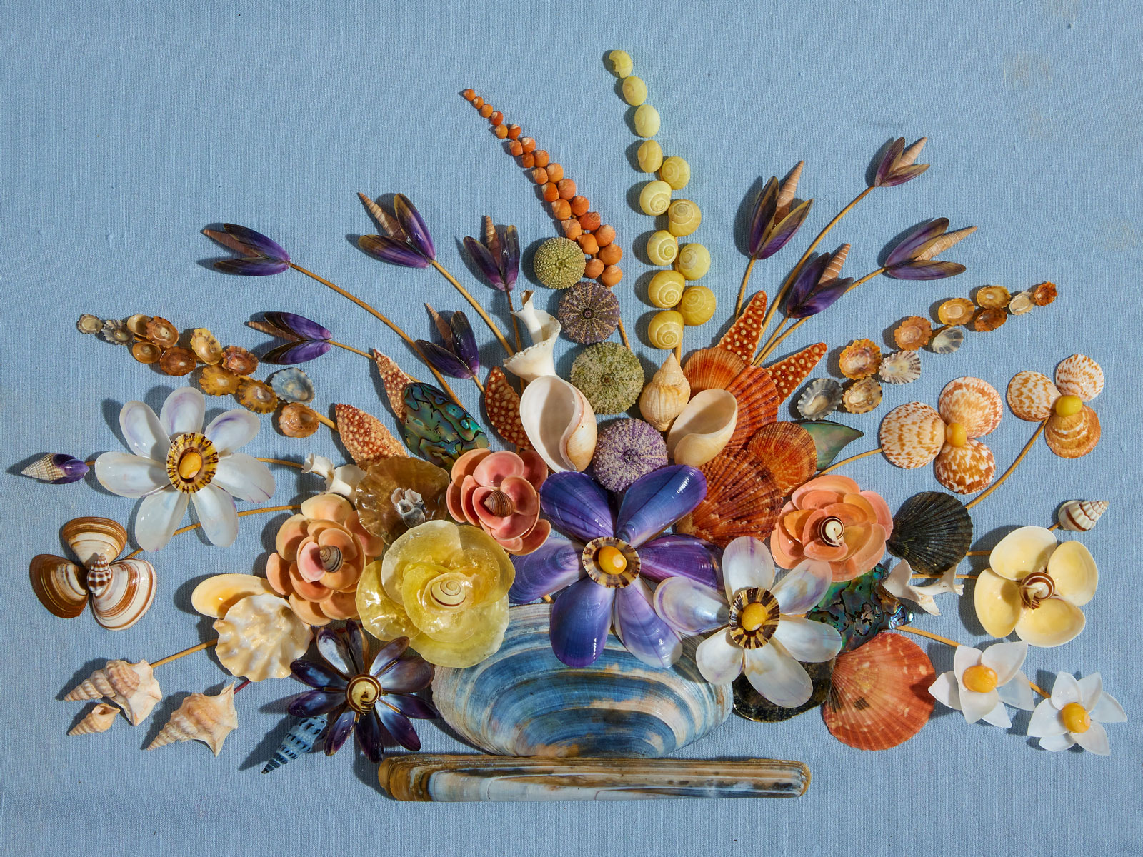 From the seashore