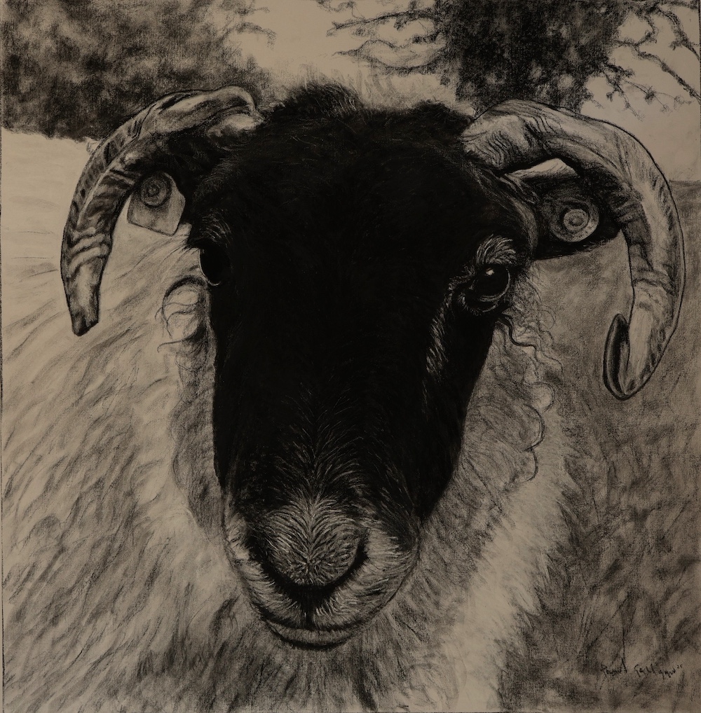 Cavan: Rural Life