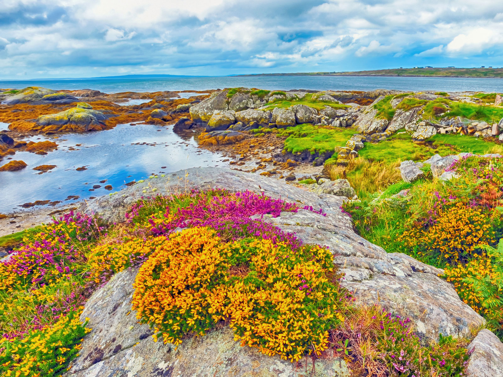 The Irish rock garden