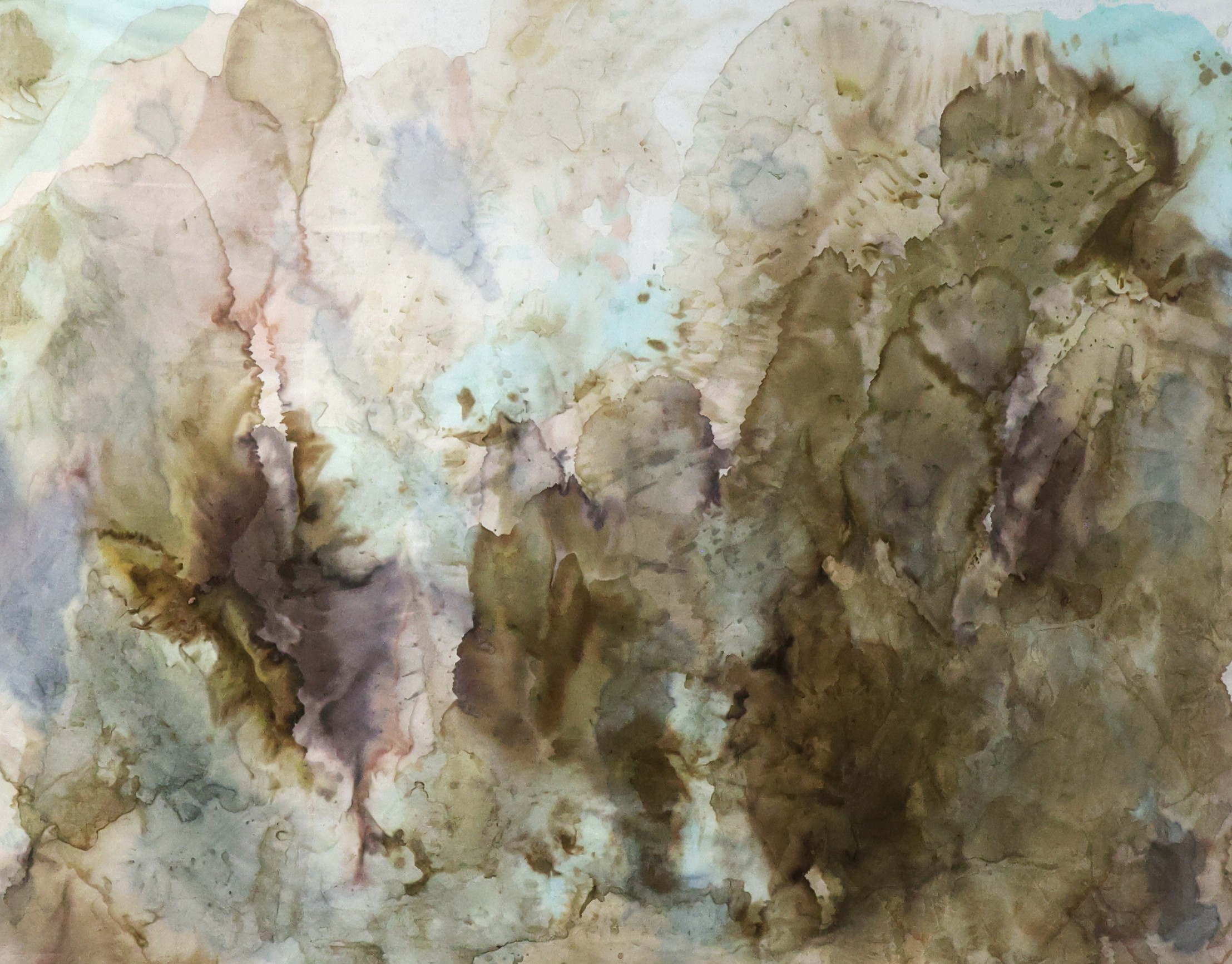Carmel Reynolds